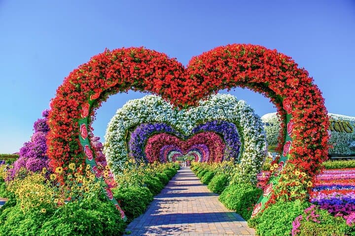 Dubai Miracle Garden Skip-the-Line Ticket with Private Transfer photo 6