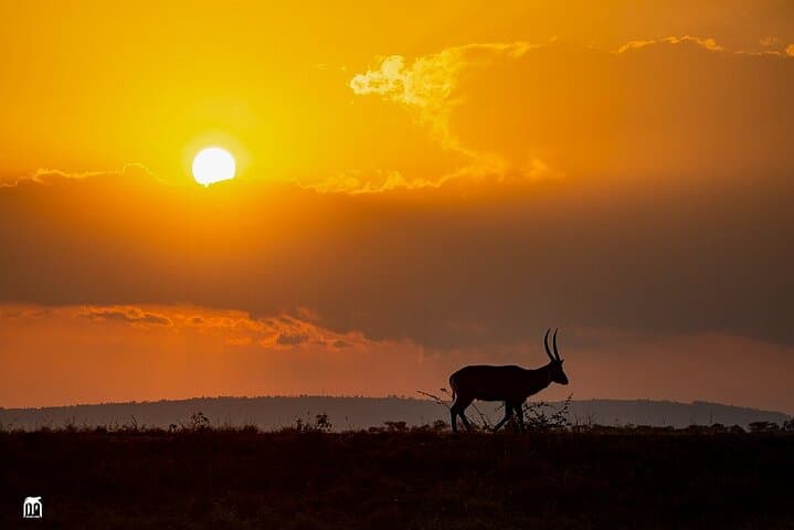 Akagera Wilderness Camping Safari: 2-Day Wild Camping & Game Drives photo 3