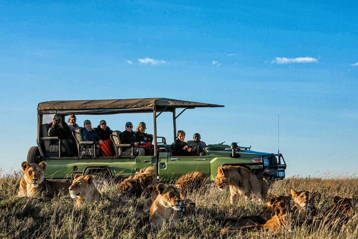 4-Day Private Safari to Serengeti & Ngorongoro Crater — Big Five, Tented Camps photo 5