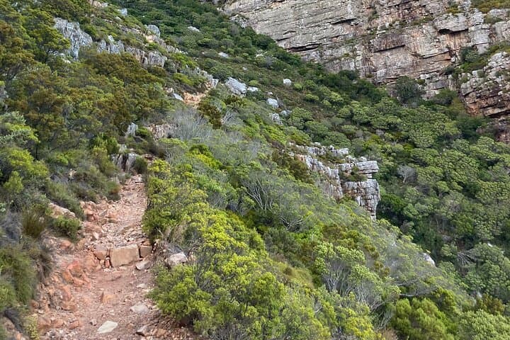 Table Mountain Kasteelspoort to Upper Cable Station: Camps Bay Back-Table Hike photo 2