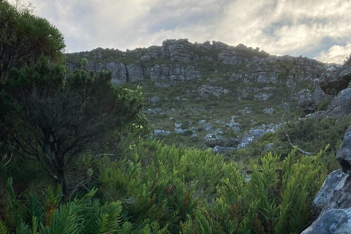 Table Mountain Kasteelspoort to Upper Cable Station: Camps Bay Back-Table Hike photo 3