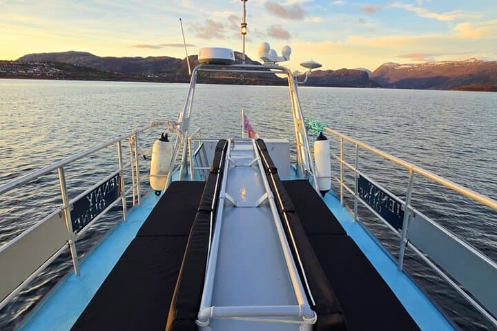 Alta Fjord 2-Hour Guided Adventure Cruise — Wildlife, WWII History & Scenic Boat Tour photo 6