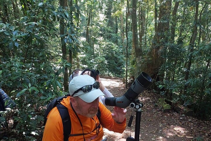 Guided Natural History Walk in Monteverde Cloud Forest Reserve photo 4