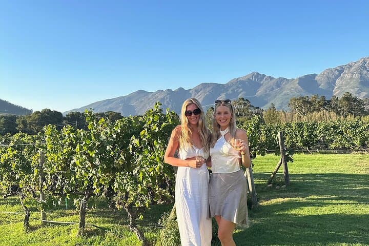 Private Luxury Wine Tour From Cape Town to Stellenbosch and Franschhoek photo 2