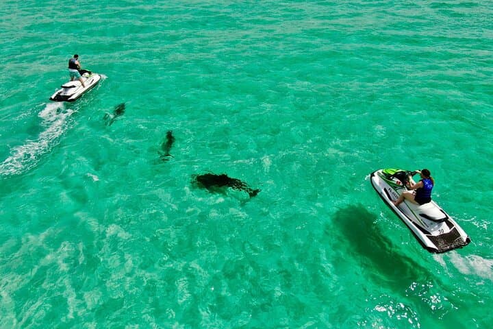 Destin Jet Ski Dolphin Tour: 2-Passenger Guided Ride from Gilligan’s Watersports