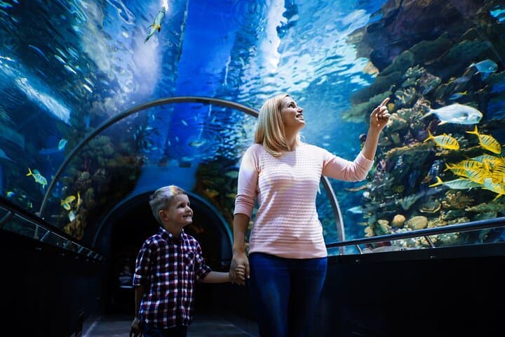 Antalya Aquarium & Wax Museum: Skip-the-Line Konyaaltı Combo photo 6