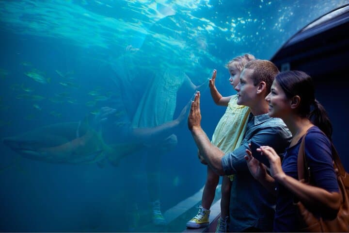 Antalya Aquarium & Wax Museum: Skip-the-Line Konyaaltı Combo photo 4