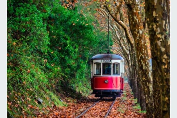 Sintra, Cascais & Cabo da Roca Day Tour from Lisbon: Coastal Highlights photo 4