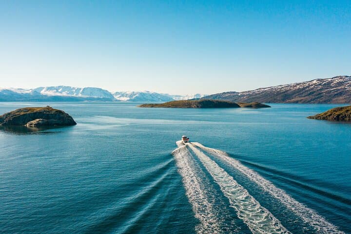 Alta Fjord 3-Hour Guided Wildlife and History Cruise photo 3
