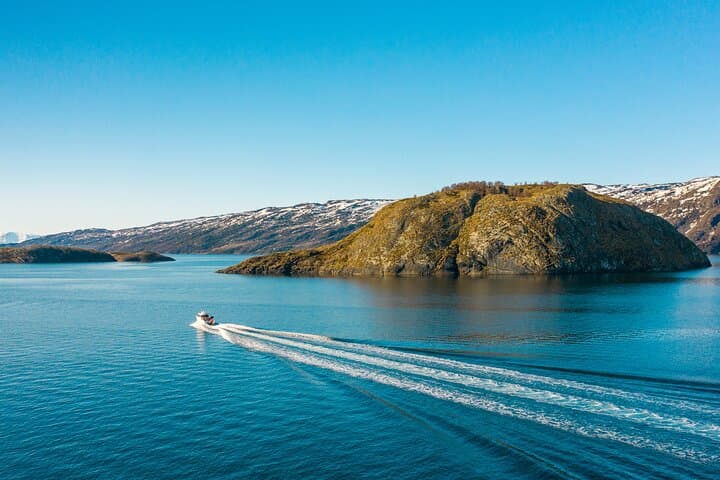 Alta Fjord 3-Hour Guided Wildlife and History Cruise photo 4