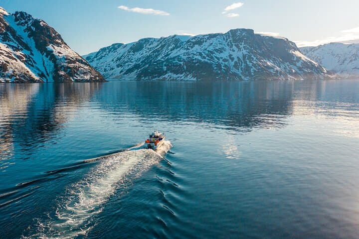 Alta Fjord 3-Hour Guided Wildlife and History Cruise photo 2