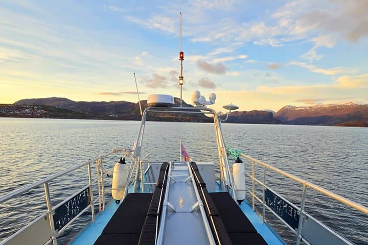 Alta Fjord 3-Hour Guided Wildlife and History Cruise photo 6