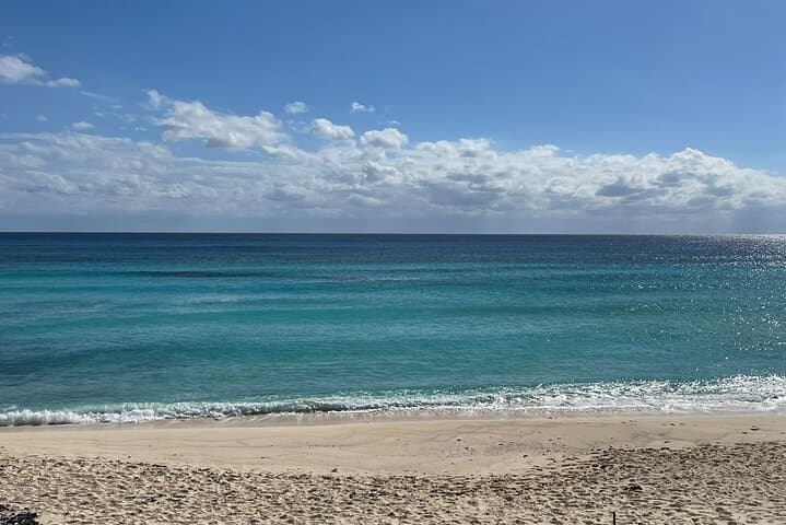 Cozumel Private Snorkel Tour: Local Beaches, Cenote & Lunch Experience photo 4