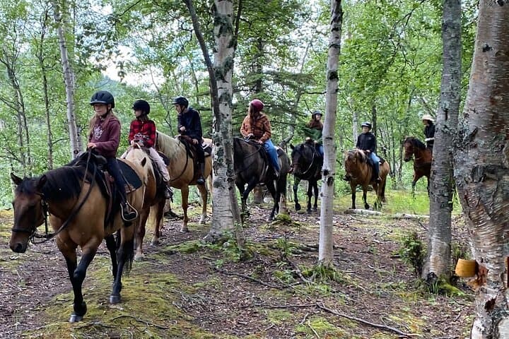 1.5-Hour Trail Ride on a Working Ranch at the Base of the Chugiak Mountains