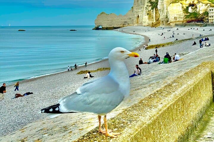 Paris to Rouen, Étretat & Deauville Day Trip — Cliffs, Cathedrals & Coastal Elegance