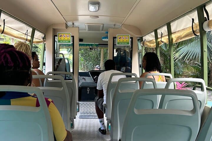YS Falls and Pelican Bar Full-Day: Waterfalls, Zipline & Jitney Ride from Montego Bay photo 6