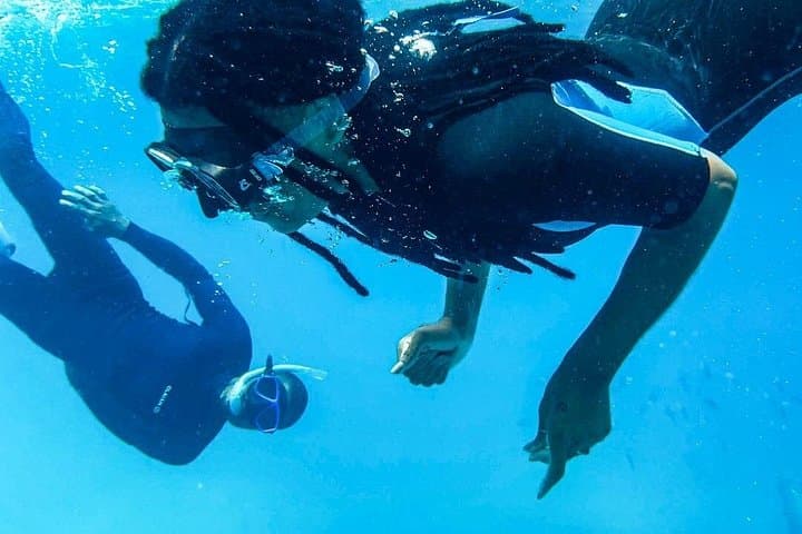 Clear-Water Snorkel Tour in Santa Maria, Sal — See Turtles & Underwater Statues photo 3