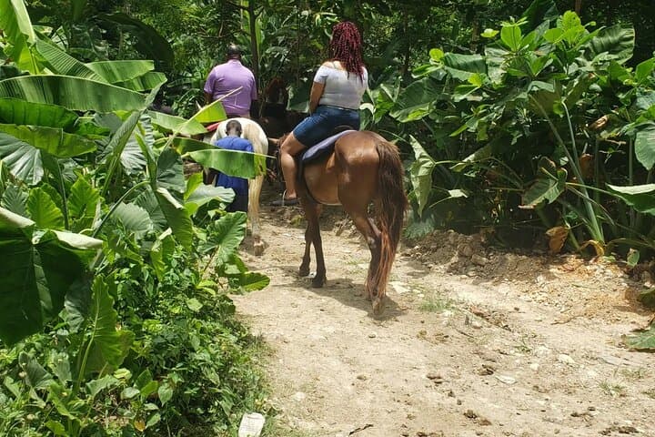 Negril Private Tour: Rick's Cafe Sunset, Horseback Ride & Swim from Montego Bay photo 6