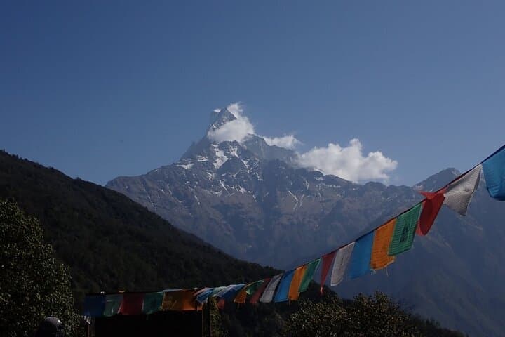 Mardi Himal Base Camp Trek: 4-Day Guided Route from Pokhara photo 6