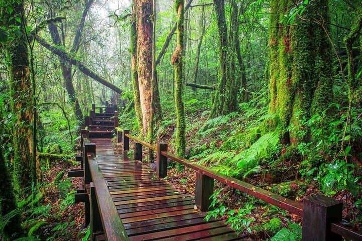 Doi Inthanon Day Trip: Summit, Waterfalls & Highland Culture photo 3