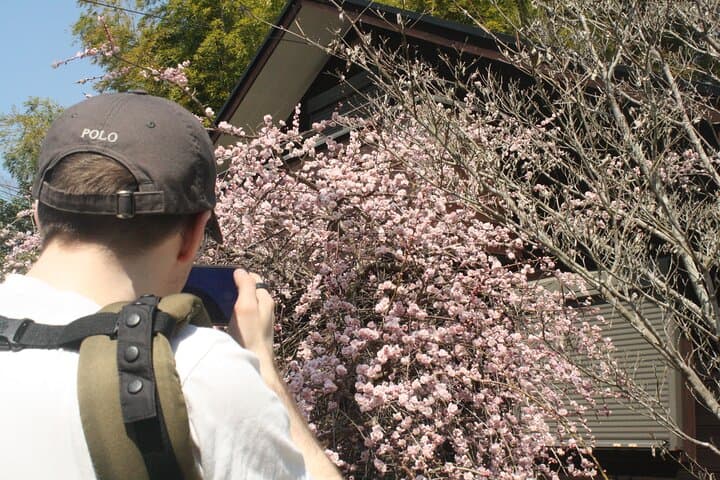 Escape the City: Short Hike and Onigiri Picnic Overlooking Osaka Bay photo 1