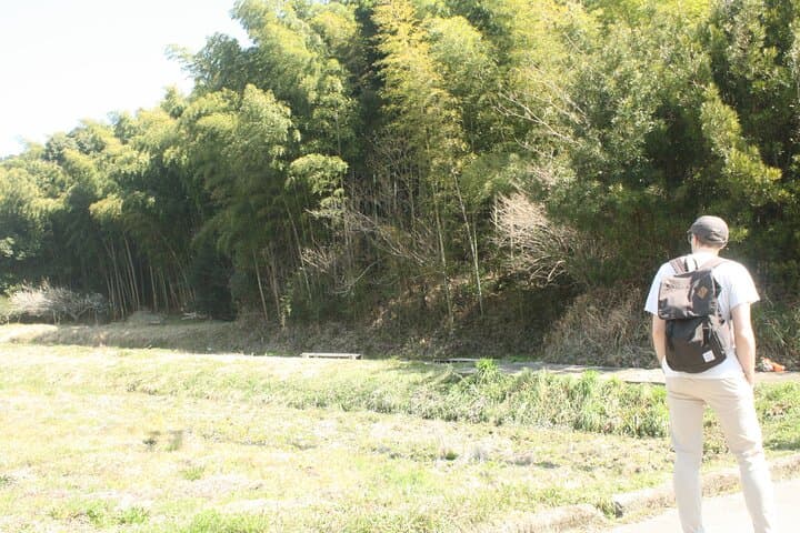 Escape the City: Short Hike and Onigiri Picnic Overlooking Osaka Bay photo 4