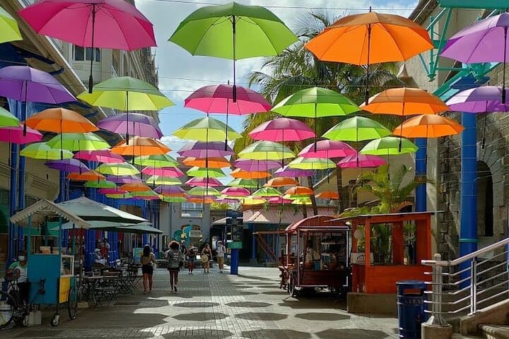 North Mauritius Day Tour — Port Louis Market, Pamplemousses Botanical Garden & Cap Malheureux photo 2