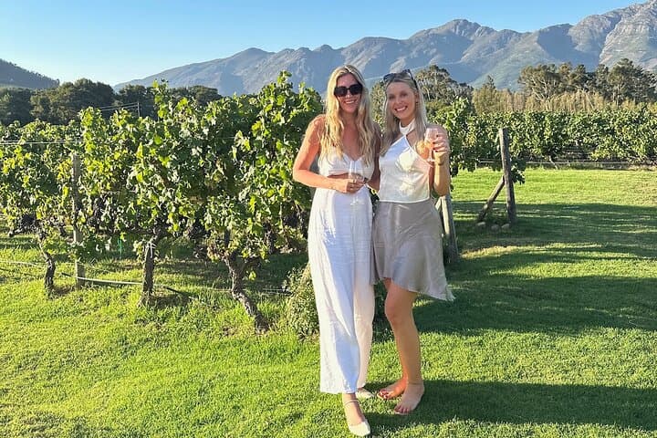 Luxury Cape Town Wine Tour: Three Tastings in Stellenbosch & Franschhoek