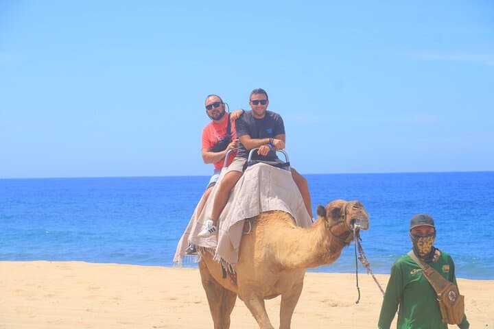 Cabo Arch Cruise and Camel Beach Ride: Boat-to-Beach in One Day photo 2