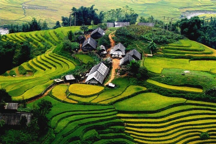Trekking Ta Van & Lao Chai: 9.5km Rice-Terrace Hike from Sapa photo 4
