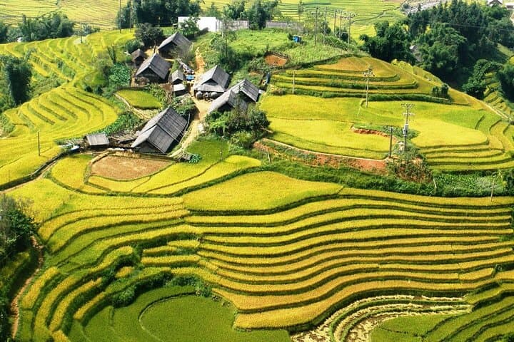 Trekking Ta Van & Lao Chai: 9.5km Rice-Terrace Hike from Sapa photo 5