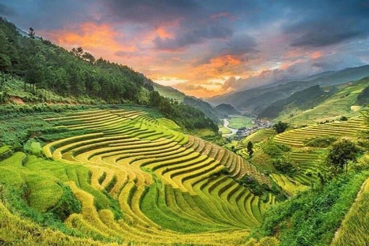 Trekking Ta Van & Lao Chai: 9.5km Rice-Terrace Hike from Sapa photo 6
