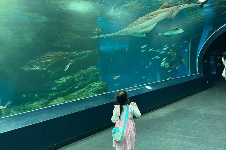 Tokyo Private Tour with a Kid-Friendly Guide — Custom Family Itineraries