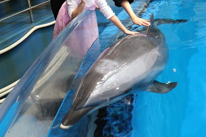Tokyo Private Tour with a Kid-Friendly Guide — Custom Family Itineraries photo 4
