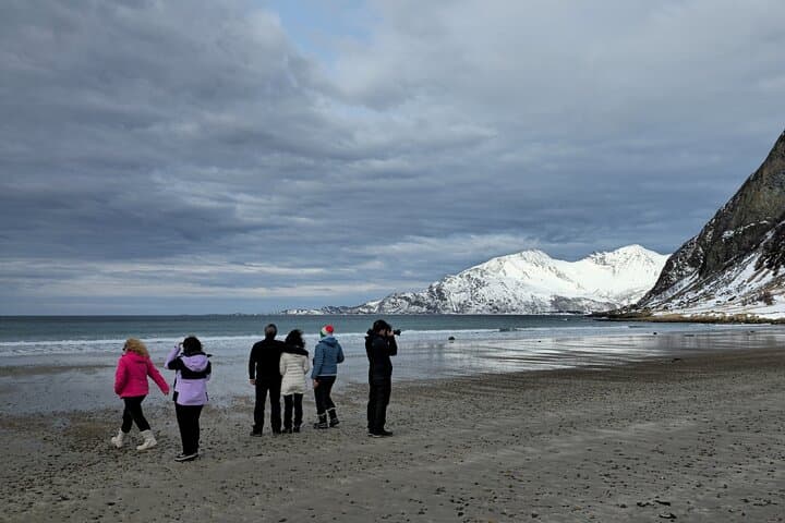 Tromsø Arctic Fjord Tour for Cruise Travelers — Ersfjordbotn, Kvaløya & Photo Stops photo 4