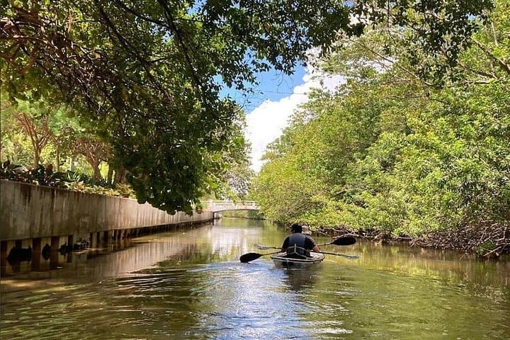 Clear Kayak Tour in South Miami Beach & Biscayne Bay — Wildlife Paddle photo 3