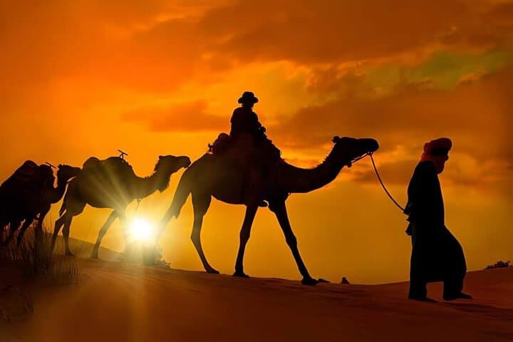 Sunset Camel Ride in Marrakech Palmeraie — 1-Hour Camel Trek & Mint Tea