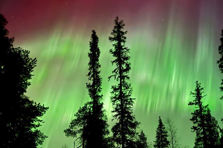 Levi Northern Lights Experience: Chasing the Aurora in Finnish Lapland photo 3