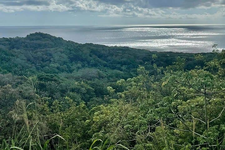 Roatan ATV Off‑Road & City Tour: Jungle Rides, Chocolate Factory & West End Drive photo 3