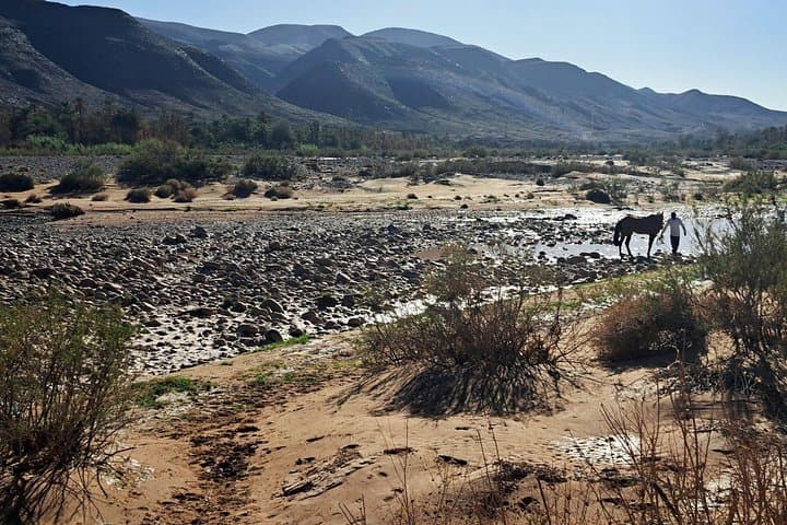 8-Day Sahara Desert Tour from Marrakech with Essaouira & Ait Ben Haddou photo 4