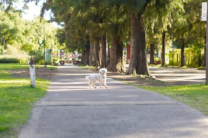Buenos Aires Hidden Wonders Tour: Parque Chas & Agronomía Park photo 2