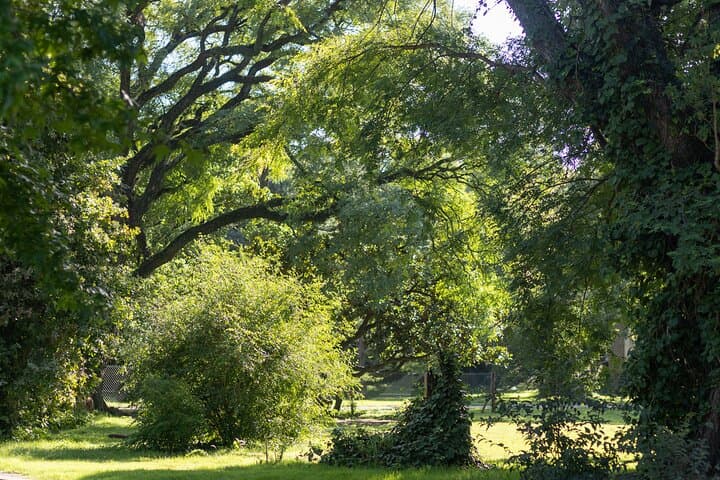 Buenos Aires Hidden Wonders Tour: Parque Chas & Agronomía Park
