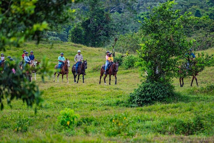 Horseback Riding Through Arenal: Cross Rivers & Rainforest Trails