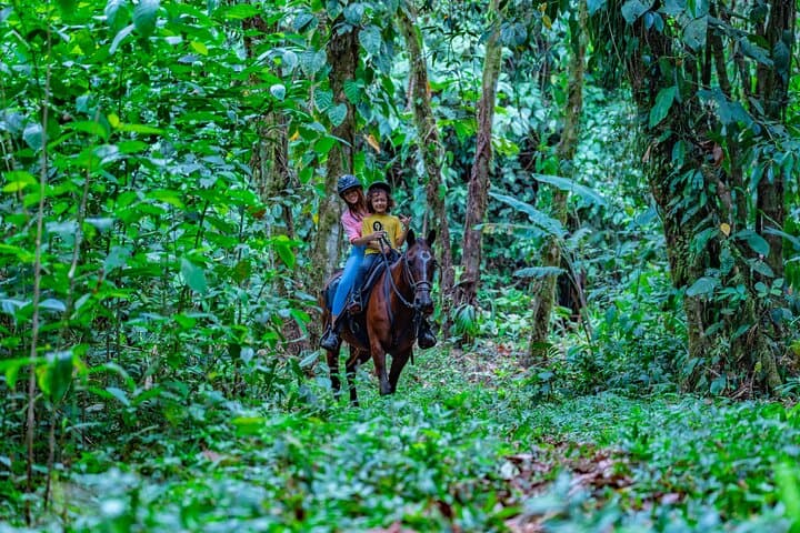 Horseback Riding Through Arenal: Cross Rivers & Rainforest Trails photo 5