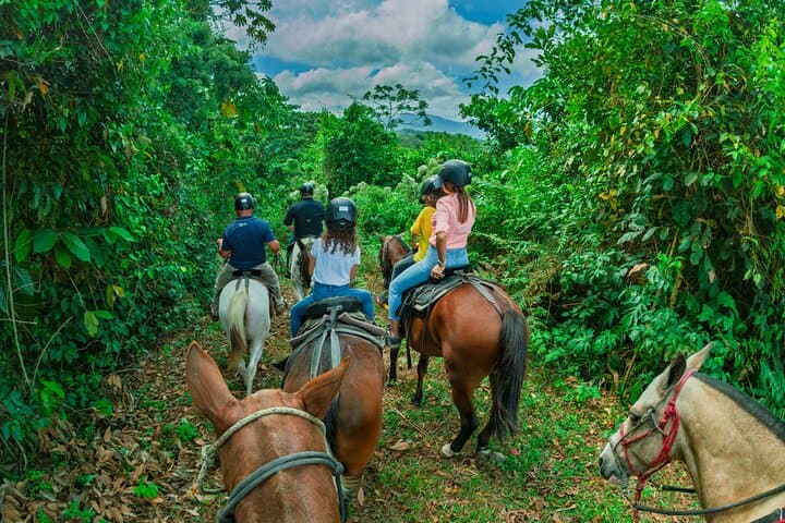 Horseback Riding Through Arenal: Cross Rivers & Rainforest Trails photo 4
