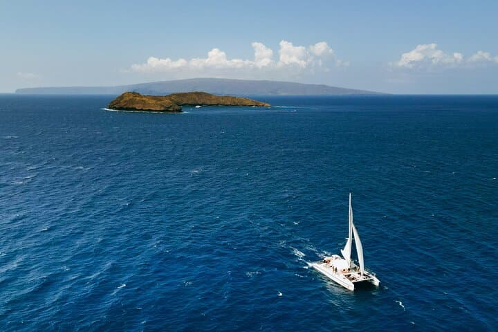 Molokini Performance Sail & Snorkel from Māʻalaea Harbor — Top Maui Snorkeling photo 6