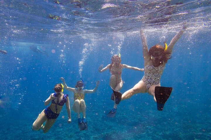 Molokini Performance Sail & Snorkel from Māʻalaea Harbor — Top Maui Snorkeling photo 4