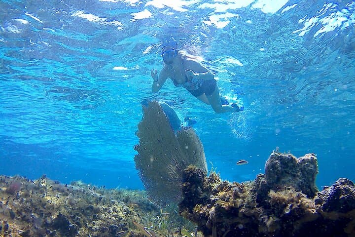 Cozumel El Cielo Catamaran Charter — Snorkel Reefs, Sandbar & Open Bar photo 5