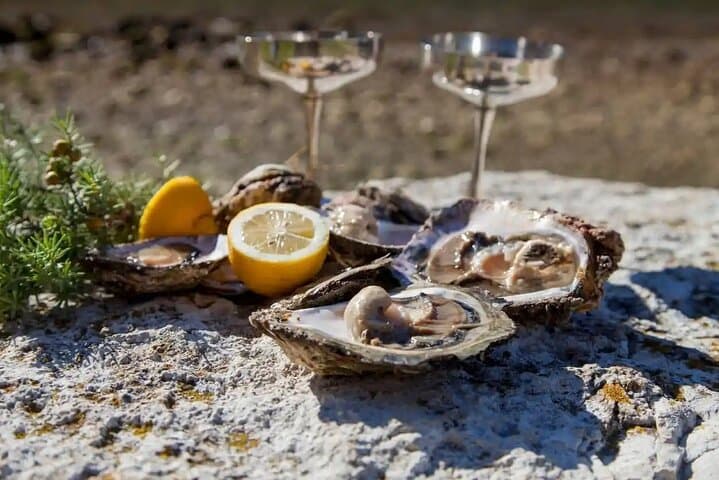Dubrovnik Private History & Local Bites: Wine, Oysters & Mussels Food Tour photo 1