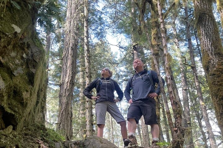 Twigs, Trails and Ales: Vancouver Island Hike with Pub Finale photo 4